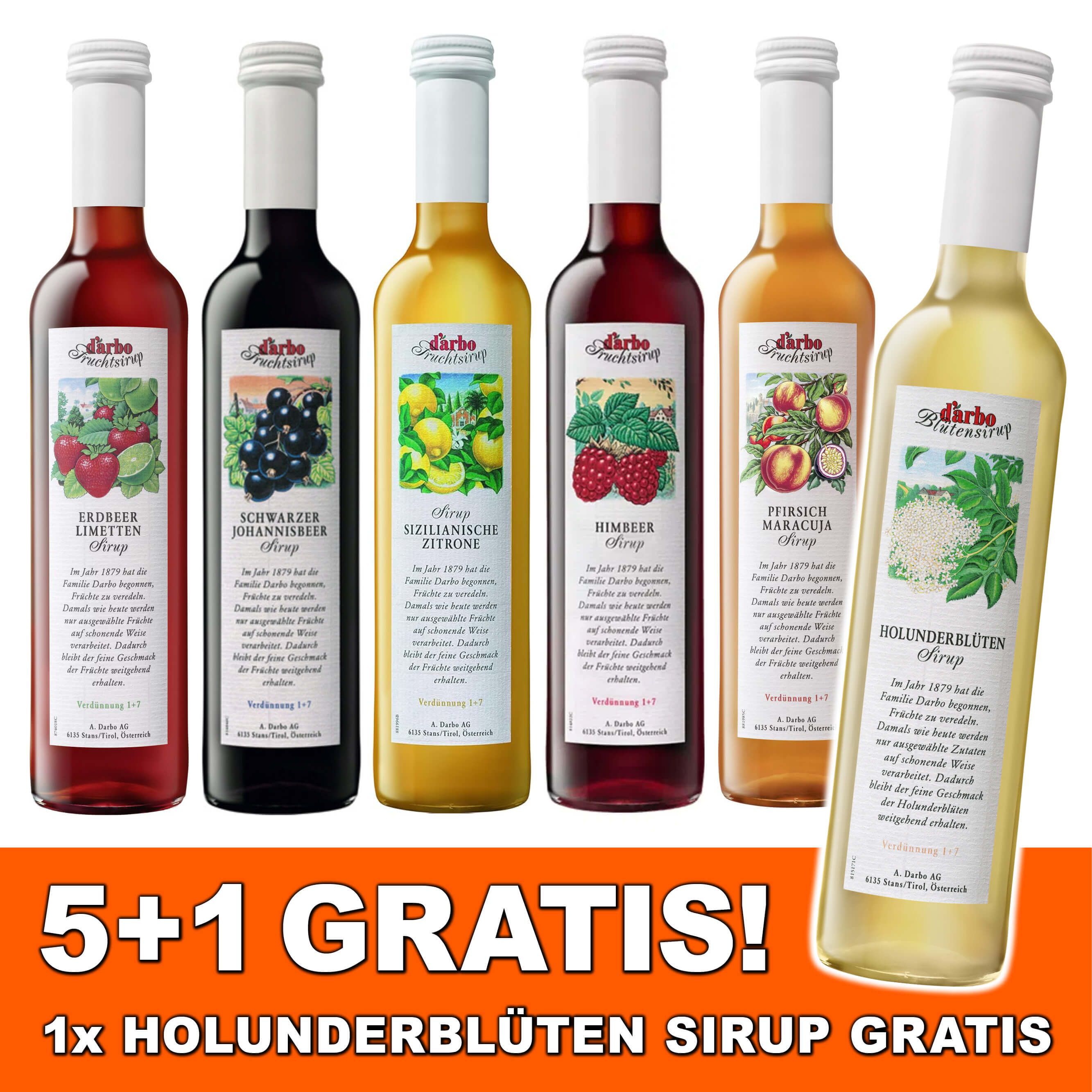 Darbo Sirup Set "Sommer-Fruchtmix" + GRATIS Holunderblütensirup