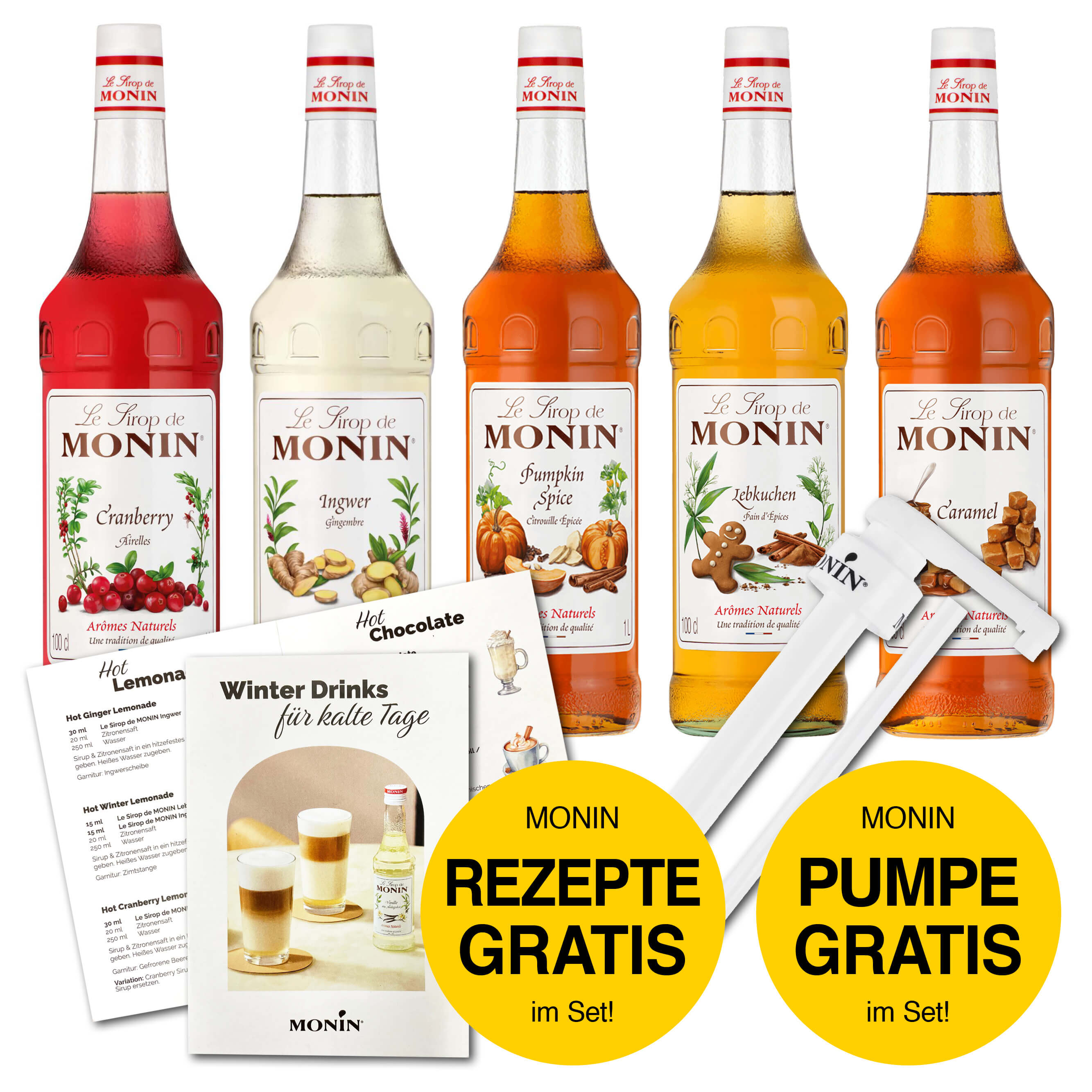 Monin Sirup Set Winter "Lemonades & Flavoured Classics" + GRATIS Pumpe und Rezeptheft